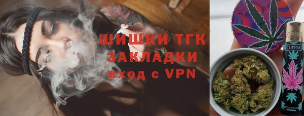 дмт Алзамай