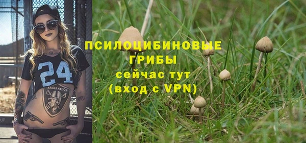 дмт Алзамай
