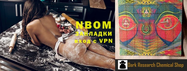 дмт Алзамай